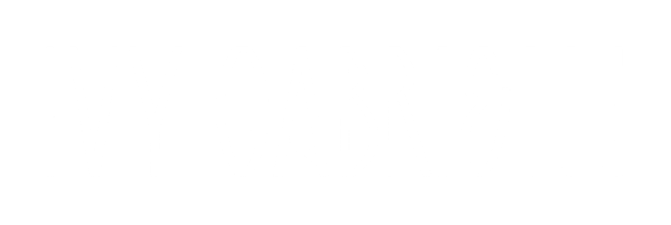 Ivy - Cliente J3 Digital Mídia